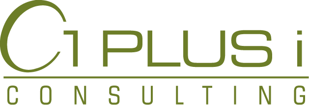 1 plus i Consulting